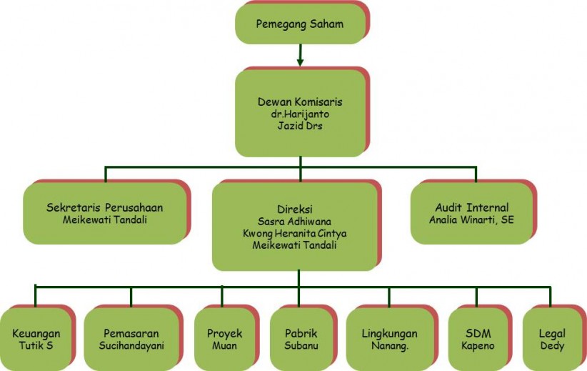 Struktur Organisasi Perusahaan Dan Tugas Tiap Posisi Jabatan